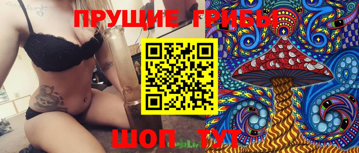 Псилоцибиновые грибы Cubensis Жуковский